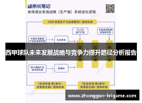 西甲球队未来发展战略与竞争力提升路径分析报告