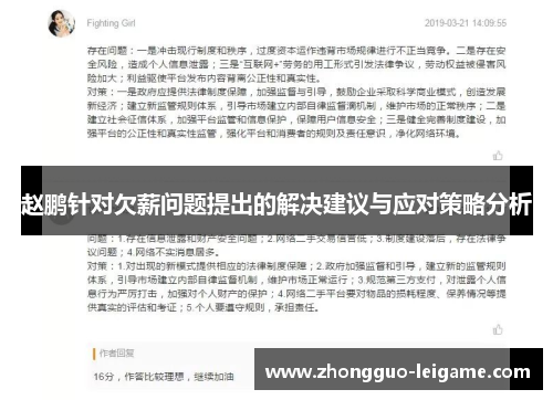 赵鹏针对欠薪问题提出的解决建议与应对策略分析